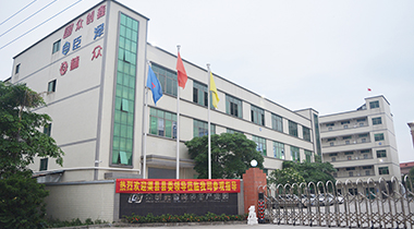熱烈歡迎渠縣縣委領導蒞臨我司參觀指導！